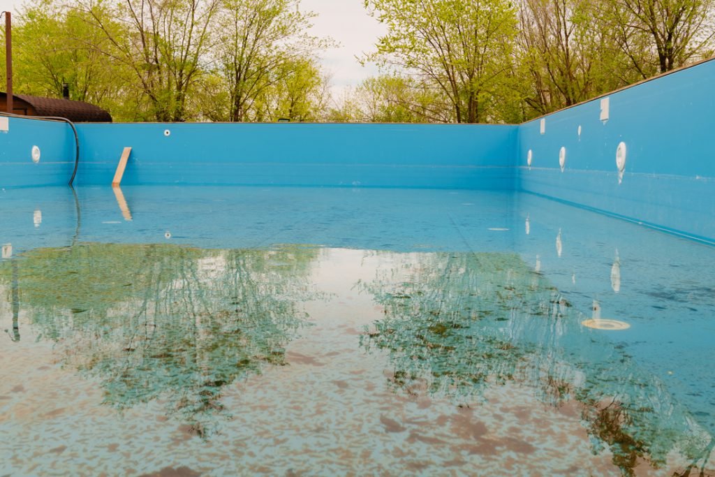 como eliminar larvas de mosquito de la piscina